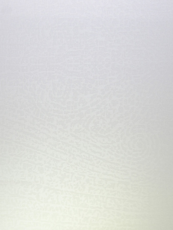 Пододеяльник Elegante Paisley 2408R/7 (creme/кремовый) фото в интернет-магазине Герд Биллербек